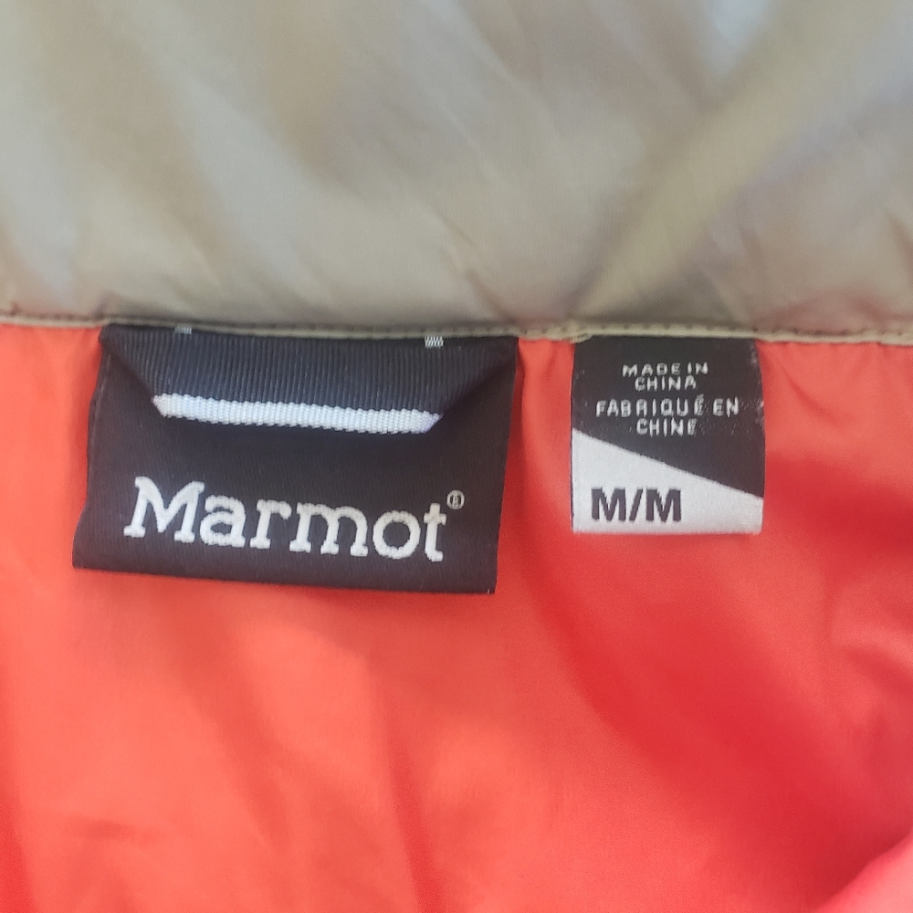 Marmot - Picture 11 of 15